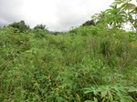 45347CIMG2432.JPG