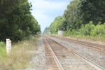 2024-09-24_15-20-55_D2E0E998-AEDB-41DD-87A4-C13F8BF0DBFC.jpeg