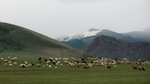 34065CIMG2256.JPG