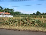 31422CIMG1286.JPG