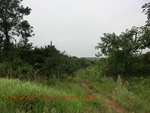 38993CIMG1500.gps.jpg