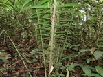 46268CIMG0557.JPG