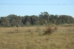 2022-11-17_21-41-25_7E67AF10-A7DB-4CD4-9FEA-33344EA181B4.jpeg