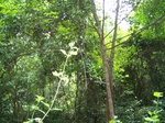 17516100_2773.JPG
