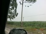 32721CIMG1852.JPG