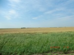 29715CIMG1006.JPG