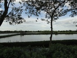 26036DSC00455.JPG