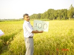 11292gt100-cropland-1.jpg