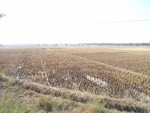 442420071010gps 111.jpg