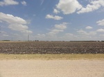 35672DSC02175.JPG