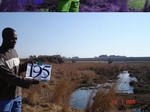 11094gt-195-wetland-valley-bottom-peat-swamp-02.jpg
