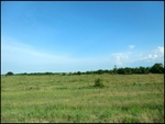 52441CIMG0025.JPG