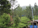 16456IMG_5241.JPG