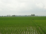 21690DSC00227.JPG