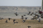 4258IMG_8897.JPG