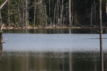 380IMG_3489.JPG