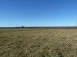 26135P1060820.JPG