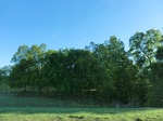 29072CIMG0554.JPG