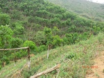 53369CIMG6664.JPG