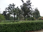 39921CIMG1810.JPG