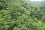 2024-08-05_13-55-08_7D19DF5A-D50E-4107-B96D-6463386E2AEE.jpeg