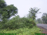 4382007-08-05_07-54-51_tag.jpg