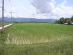 33608RIMG0273.JPG
