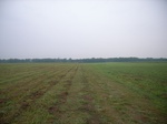 3699RIMG0002.JPG