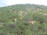 38245CIMG1551.JPG