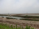 53829CIMG0378.JPG