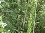 46984CIMG3321.JPG