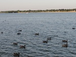 21679DSC00275.JPG