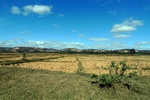 28454P1010465-1.JPG