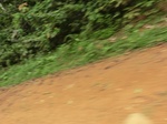 47592CIMG3929.JPG