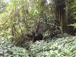 46840DSC02179.JPG
