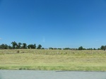 35511DSC03027.JPG