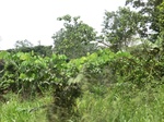 49307CIMG5644.JPG