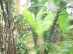48771CIMG5108.JPG