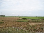 14317IMG_4657.JPG