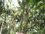 15607IMG_4678.JPG
