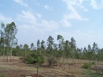 1692702052008(86).JPG