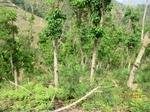53759CIMG7159.JPG