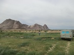 36990CIMG0781.JPG