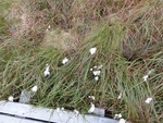 24975DSC00042.JPG