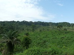 20648P1020505.JPG