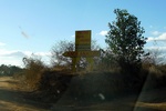 28521P1010535-1.JPG