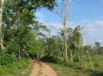 31949IMG_5656.JPG