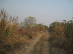 8474IMG_0299.JPG