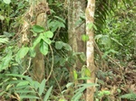 47253CIMG3590.JPG