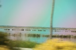 2024-08-05_14-21-45_AB79AD8D-B18A-4AFA-87D5-C31C88EE05D8.jpeg